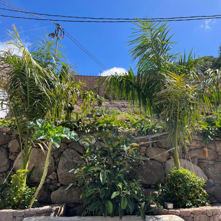 Casa rural con baño adaptado y piscina en Mogán - Apartamento de 2 dormitorios - 29