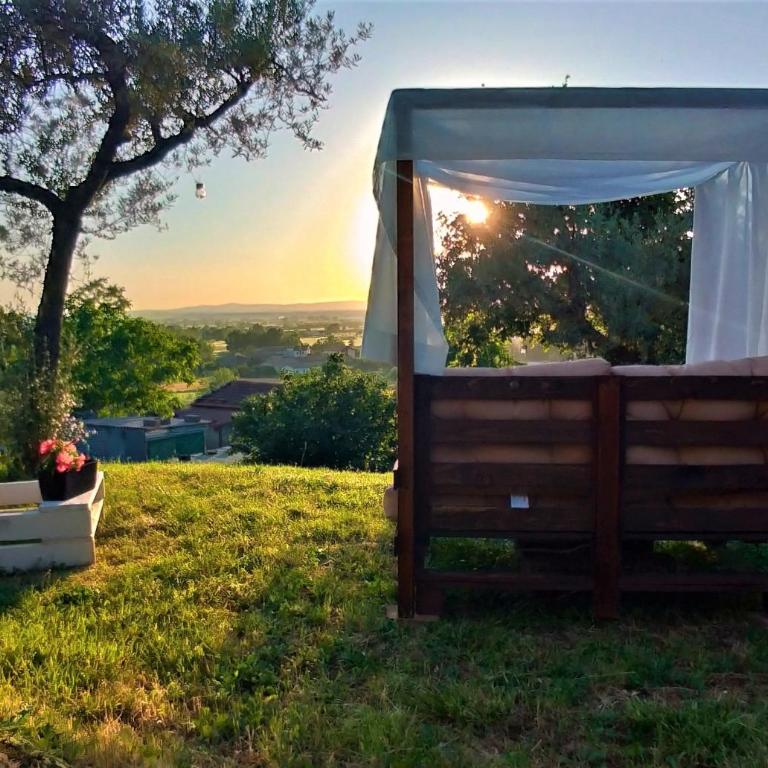 La Casa Tra Gli Ulivi - Appartamento con 2 Camere da Letto e con Vista - 10
