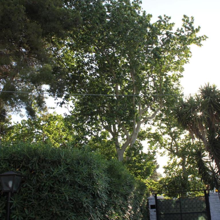 Casina Elio - Casa Vacanze - 31