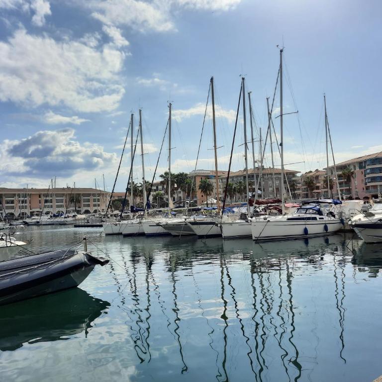 Coeur Marina climatisé terrasse parking - Apartamento de 1 dormitorio - 22