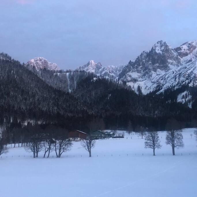 Family Appartment - Dachstein View - Apartment mit 1 Schlafzimmer - 64