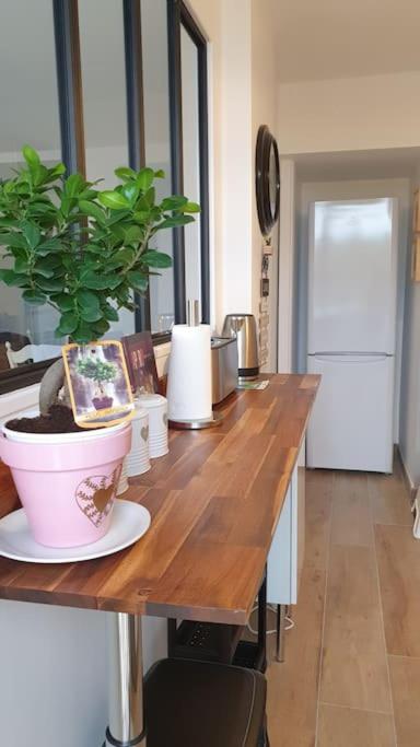 Le Doux voyage T3, vue Mer, Wi Fi, PARKING gratuit - Two-Bedroom Apartment - 12