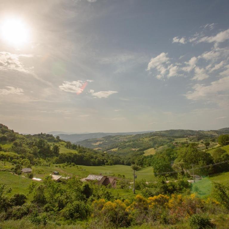 Residence Serena - Appartamento con 1 Camera da Letto - 8