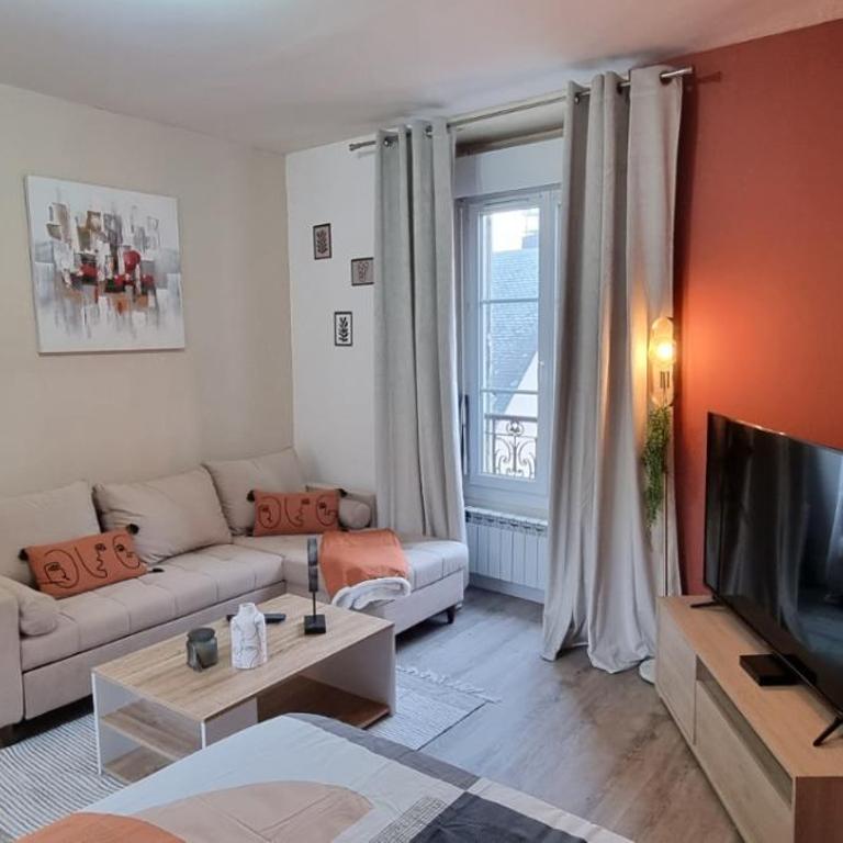 L'appart K-torze- RARE ! 14 couchages en centre ville du Mans - Appartement - 11