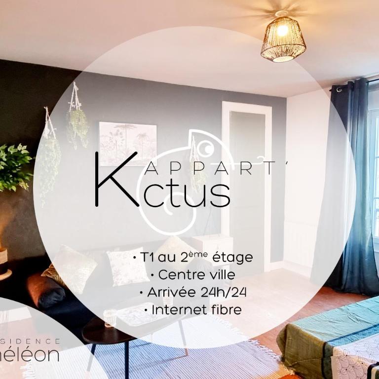 L'appart K-torze- RARE ! 14 couchages en centre ville du Mans - Appartement - 13