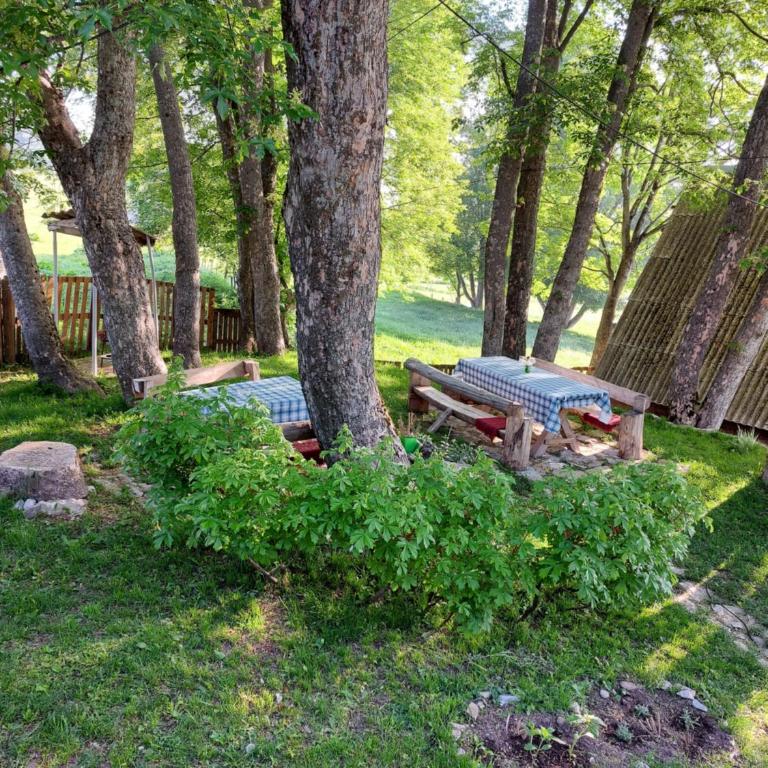 Apartments Javorje Zabljak - Two-Bedroom Apartment - 17