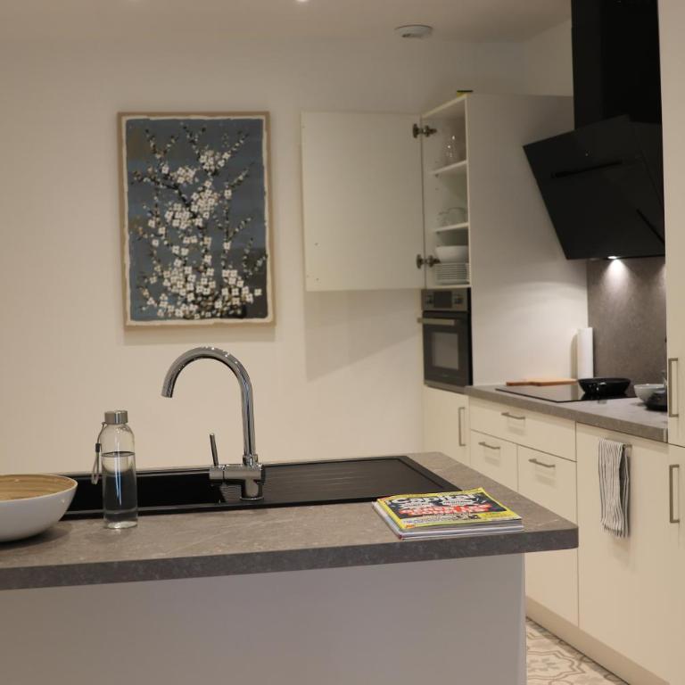 Le Mans Hypercentre - proche place République - Appartement 1 Chambre - 3