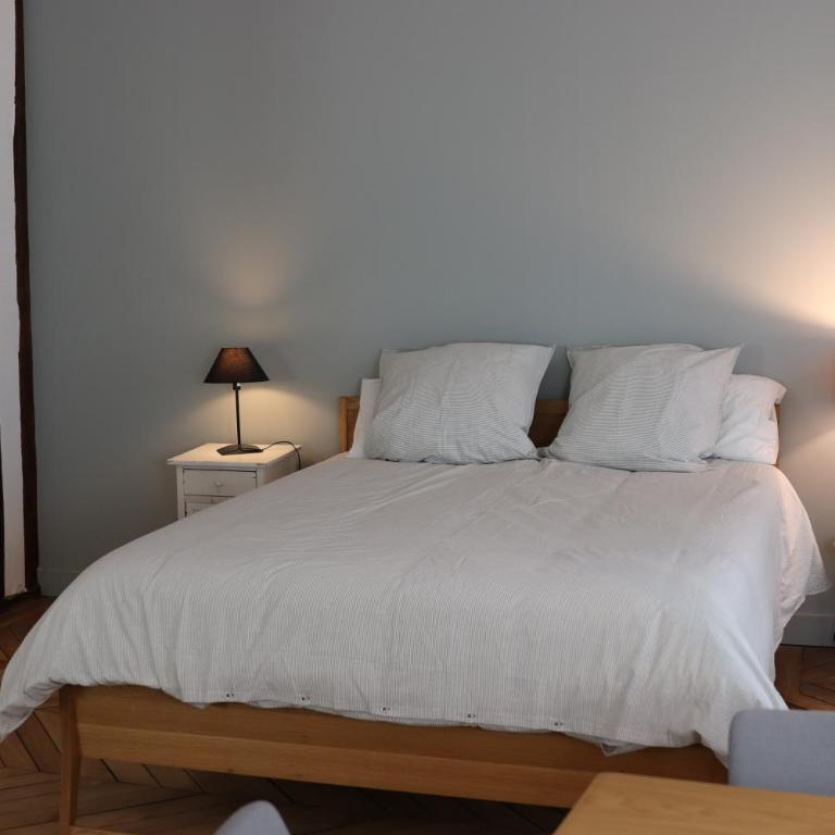 Le Mans Hypercentre - proche place République - Appartement 1 Chambre - 4