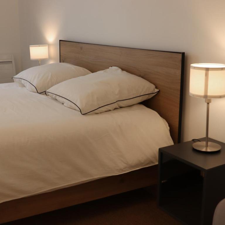 Le Mans Hypercentre - proche place République - Appartement 1 Chambre - 7