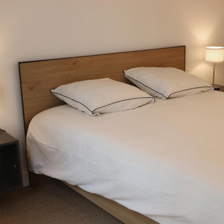Le Mans Hypercentre - proche place République - Appartement 1 Chambre - 8