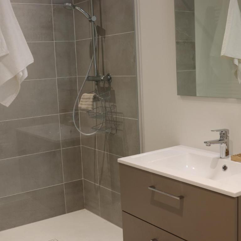 Le Mans Hypercentre - proche place République - Appartement 1 Chambre - 13