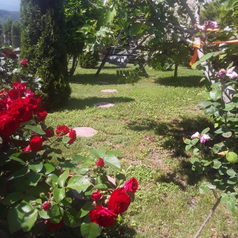Holiday House White Hill - Villa with Private Pool - 53