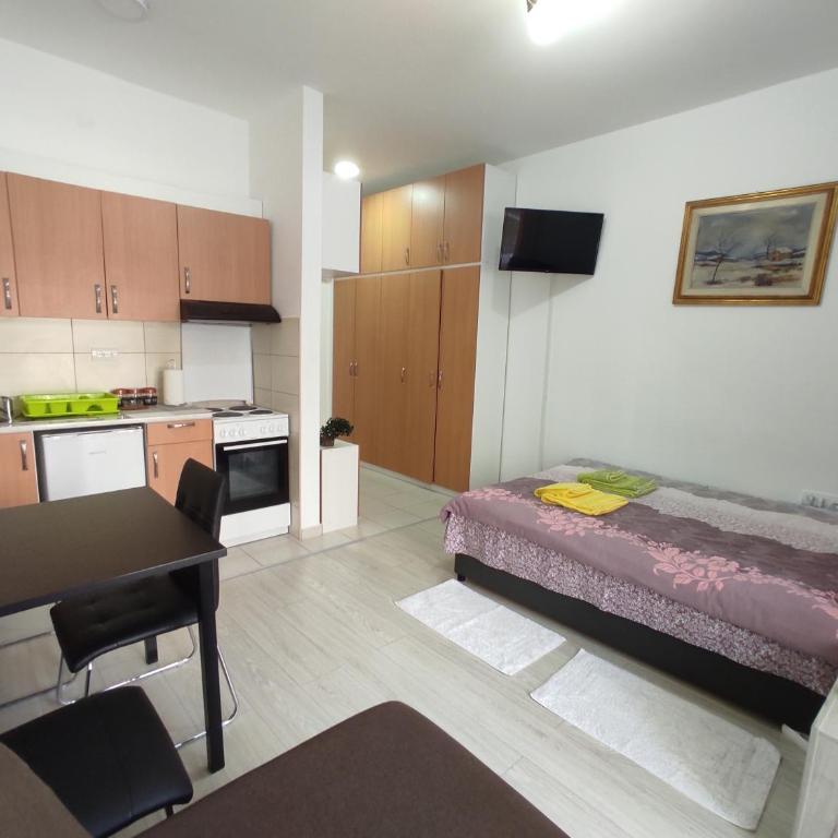 Apartman Goca - Apartman sa 1 Spavaćom Sobom - 1