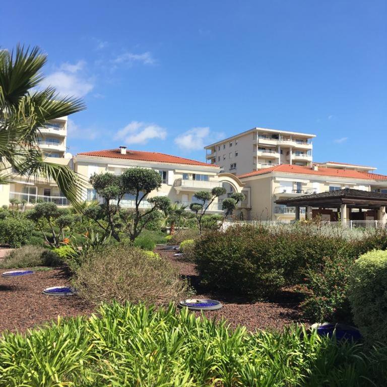 Bord de mer Juan les Pins - Appartement 1 Chambre - 3