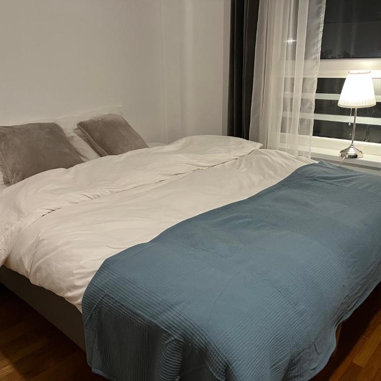 Studio Ana Belville - Deluks Studio sa Bračnim Krevetom (King-size) - 4