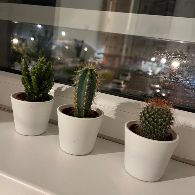 Studio Ana Belville - Deluks Studio sa Bračnim Krevetom (King-size) - 8