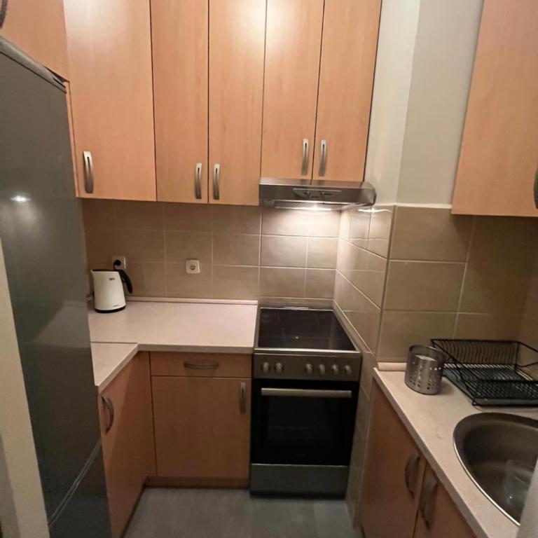 Studio Ana Belville - Deluks Studio sa Bračnim Krevetom (King-size) - 13