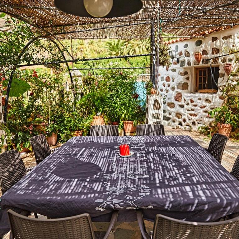 Finca OASIS Fataga - Villa - 65