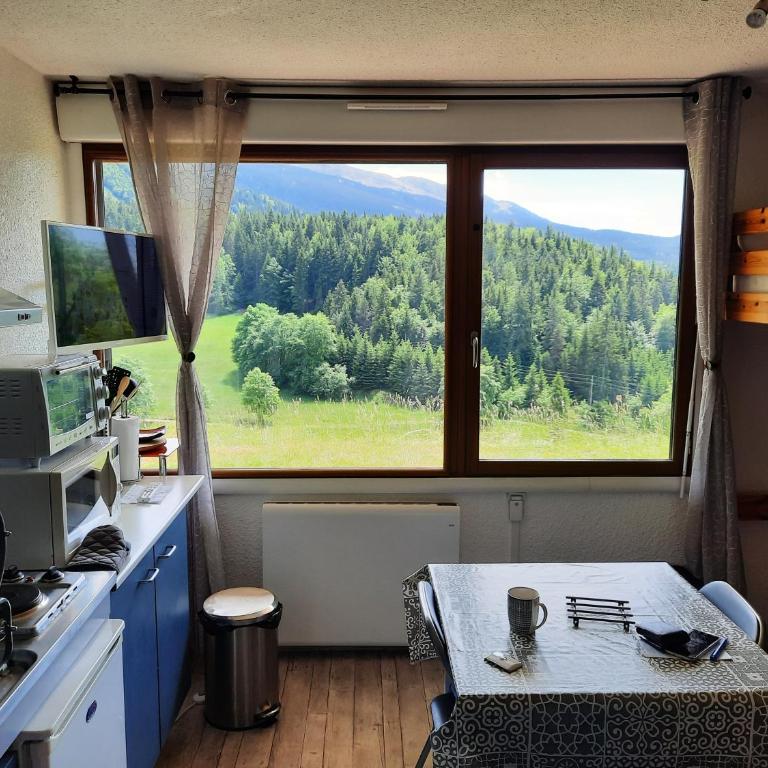 les glovettes Villard de lans - Monolocale con Vista Montagna - 13