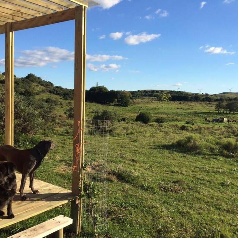 Bungalow de campo Torero - sierras, naturaleza y relax - One-Bedroom House - 11