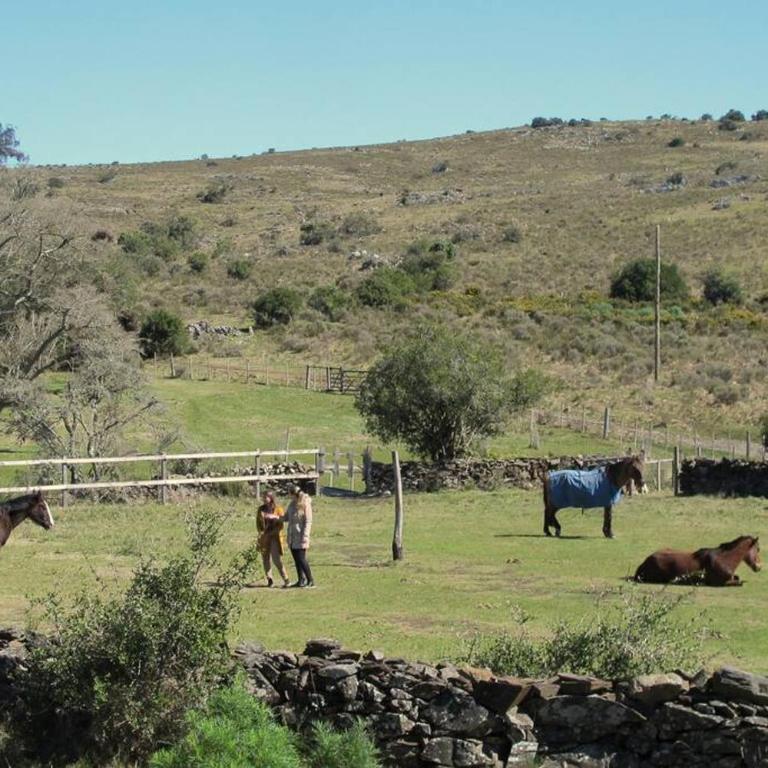 Bungalow de campo Torero - sierras, naturaleza y relax - One-Bedroom House - 17