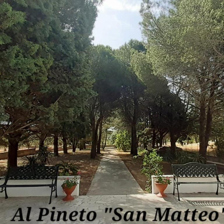 Al Pineto San Matteo - Casa con 1 Camera da Letto - 1