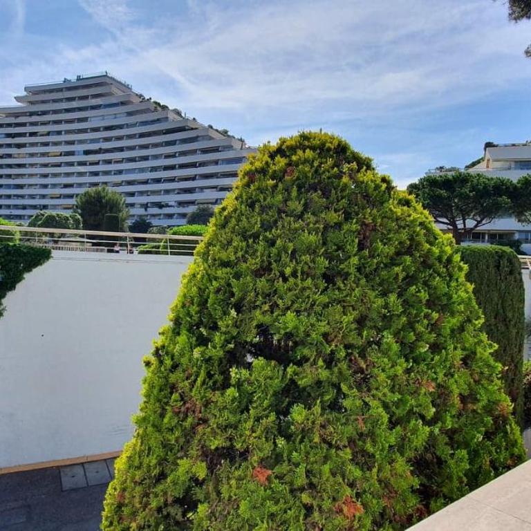Studio confort ensoleillé - FAME Marina baie des Anges - Studio - 12