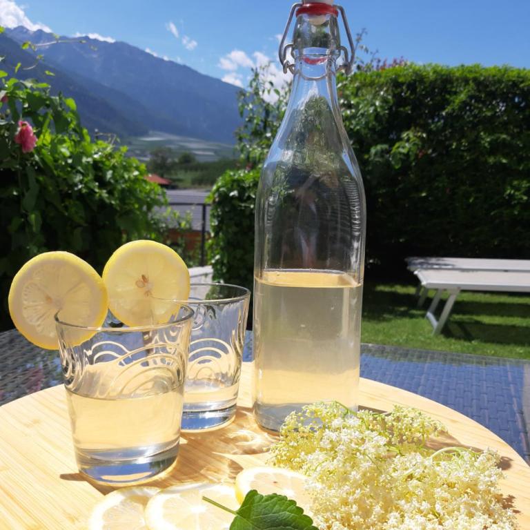Weinreichhof - Appartamento con Terrazza - 13