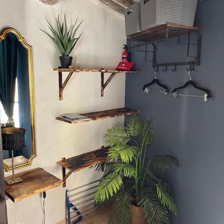 appartement cosy à 10 mètres du port de Cassis - Appartement 1 Chambre - 7