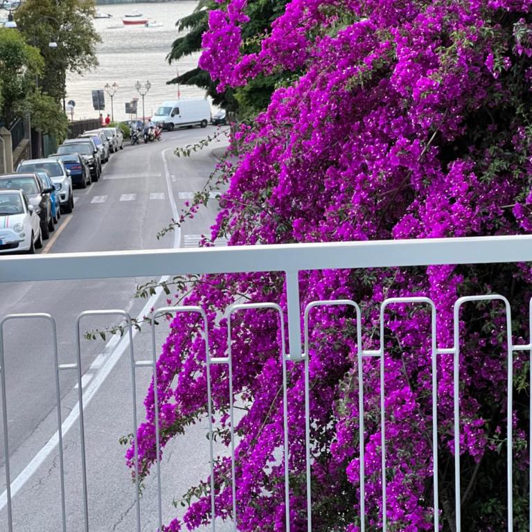 WELCOME RIVIERA -TORRE D'AVORIO APPARTAMENTO 126 mq piu'terrazzo25 mq - totalmente rinnovato- 250 m dal centro - parcheggio a pagamento 20 euro al giorno da prenotare in anticipo salvo dispo -parking at 20 euro per day to be booked in advance if available - Appartamento con 2 Camere da Letto - 2