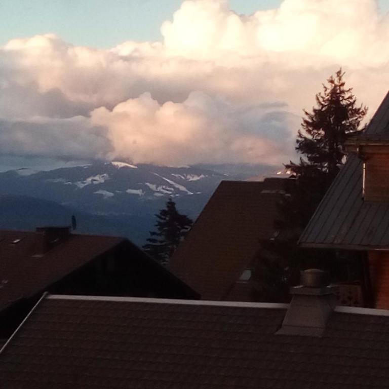 SUPERBE APPARTEMENT T2 3 ETOILES 40m2 PIED DES PISTES VUE SUR LE LAC - Appartement 1 Chambre - 22