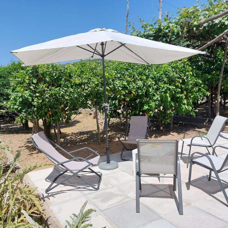 Casa Vacanze Il Frutteto - One-Bedroom House - 4