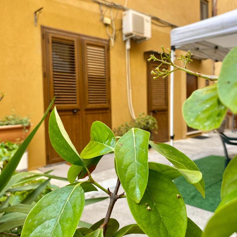 La Magione - Appartamento con 1 Camera da Letto - 4