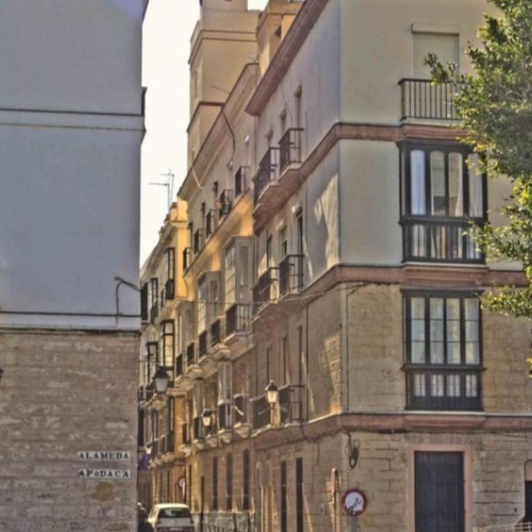Terra Centro Cádiz - Apartamento de 3 dormitorios - 17
