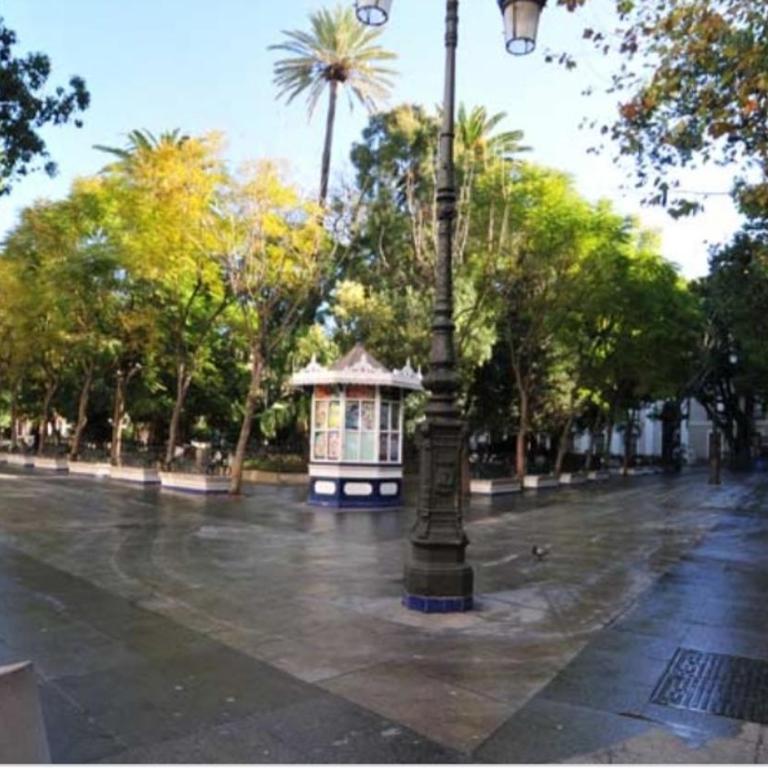Terra Centro Cádiz - Apartamento de 3 dormitorios - 18