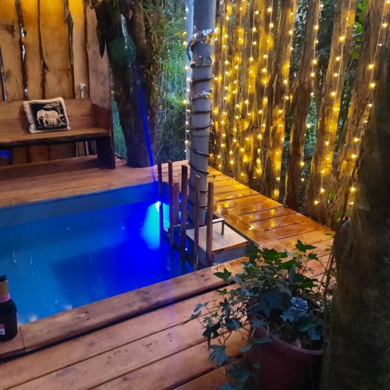 Cabaña con tinaja en bosque Valdiviano - Casa con 1 dormitorio - 16