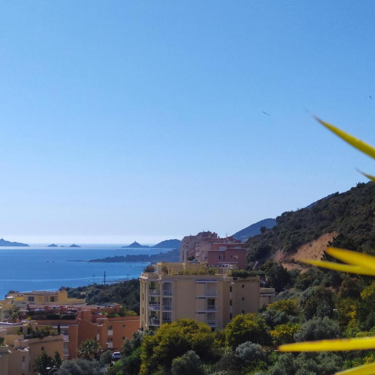 Ajaccio, Sanguinaires, Hélios, vue mer magnifique, T2 4pers - Appartement 1 Chambre - 9