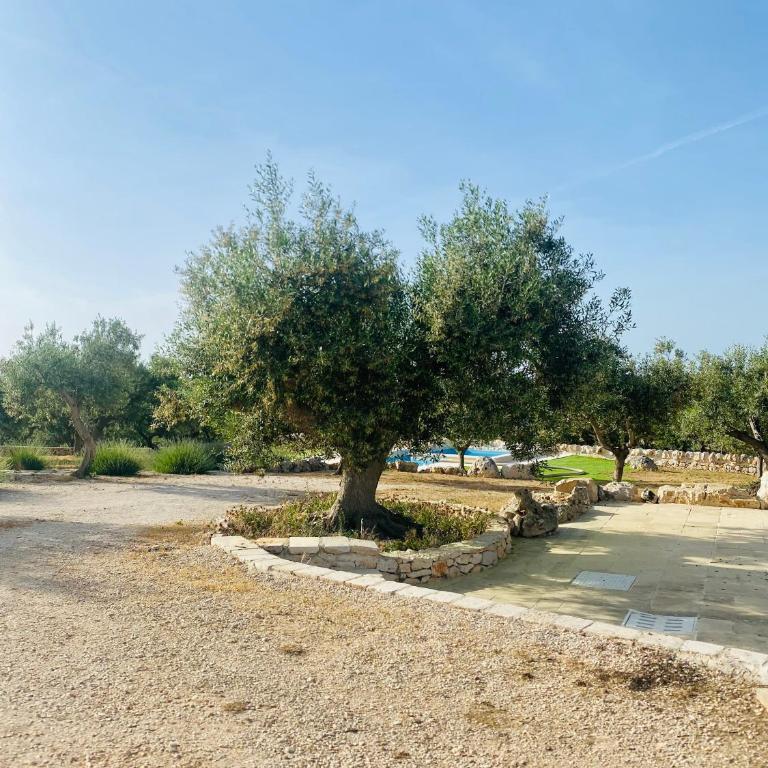 I Trulli del Vagabondo - Complex of Trulli with Private Pool - Casa con 2 Camere da Letto - 39