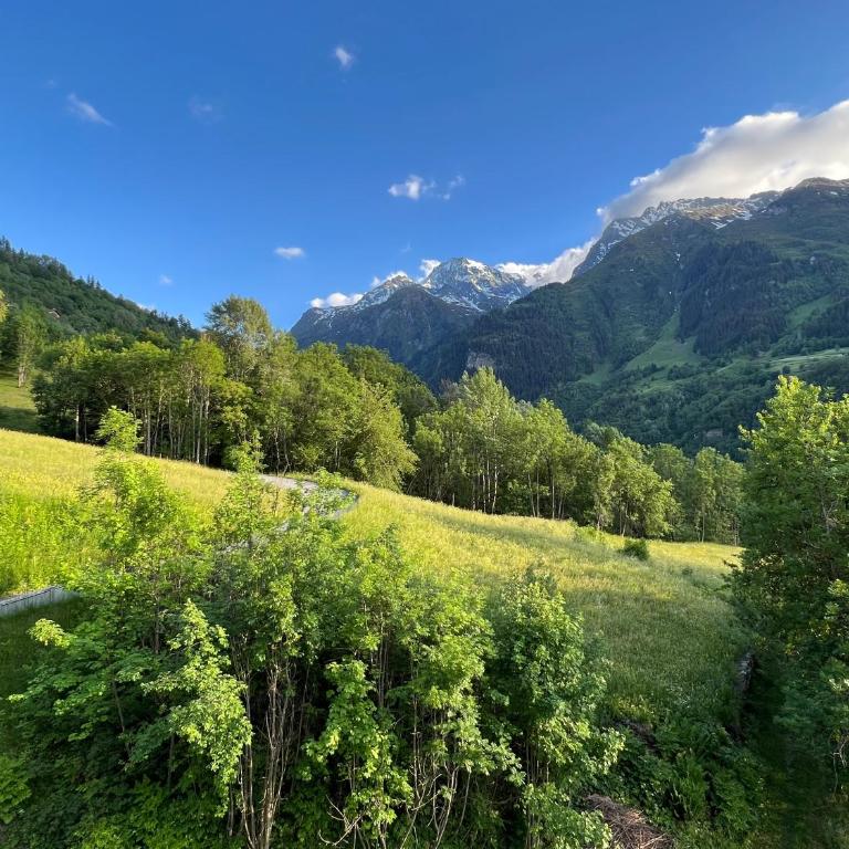 Chalet Altus - Two-Bedroom Chalet - 9
