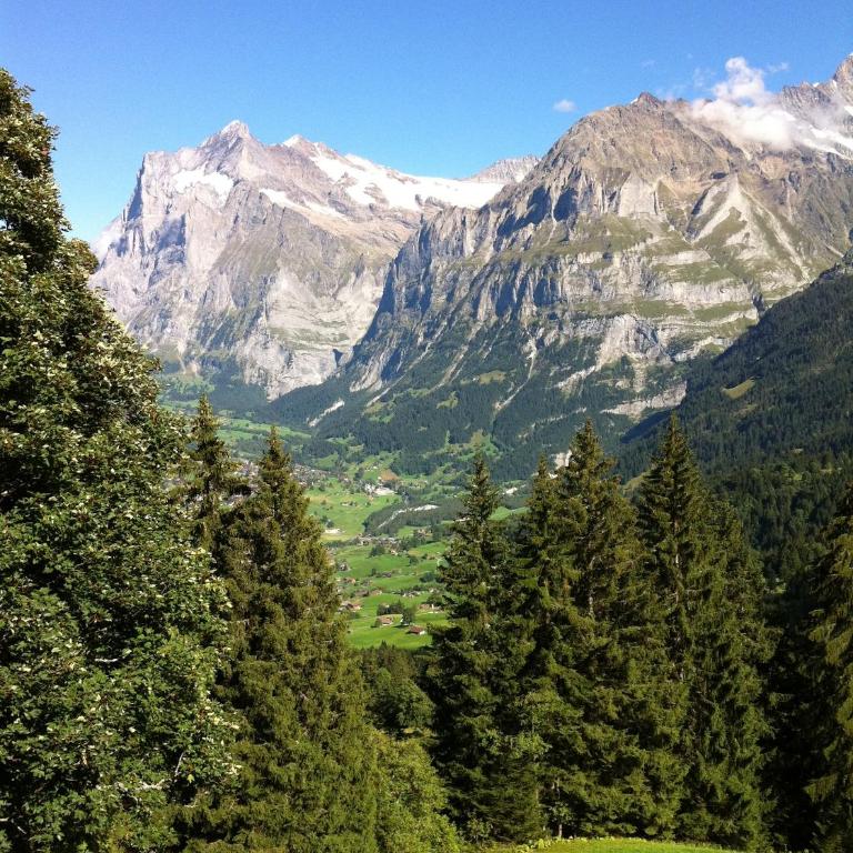 Chalet Bodenwald - Apartment - 41