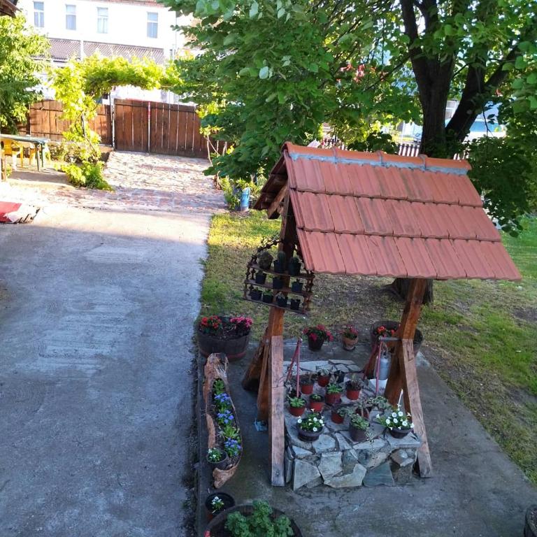 Apartman Zigic - Apartman sa 1 Spavaćom Sobom - 41