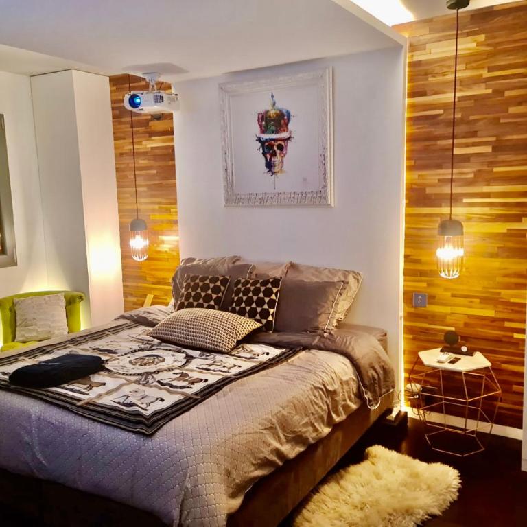 LUXURY FLAT WITH PRIVATE ROOFTOP - Paris 18 - Appartement 1 Chambre - 24