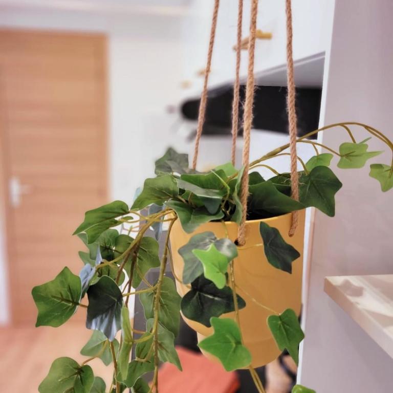 Appartement cocooning proche mer - Appartement 1 Chambre - 22