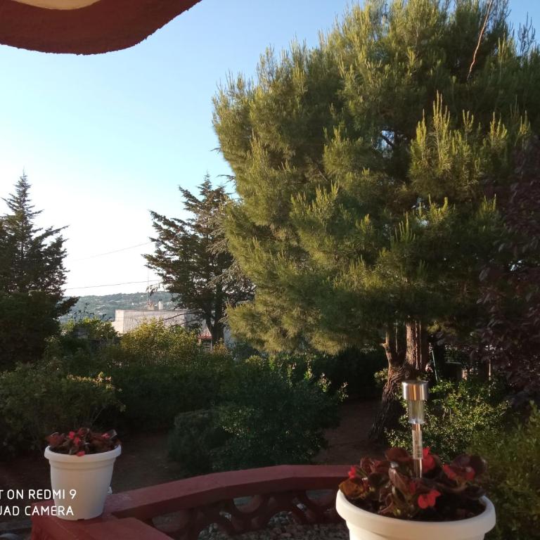 Mady - Appartamento con 2 Camere da Letto - 30