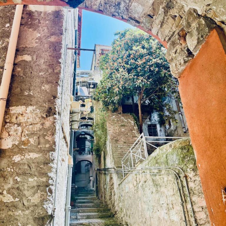 Pigna Tommy House - Monolocale - 19