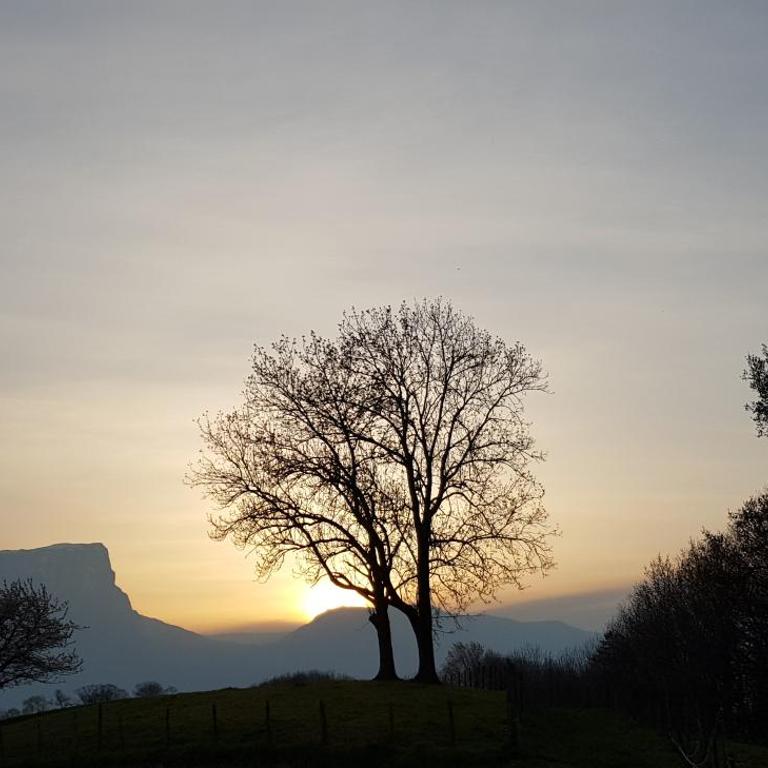 Gîte clair, spacieux et cosy avec vue sur le massif de la Chartreuse - Appartement - 35