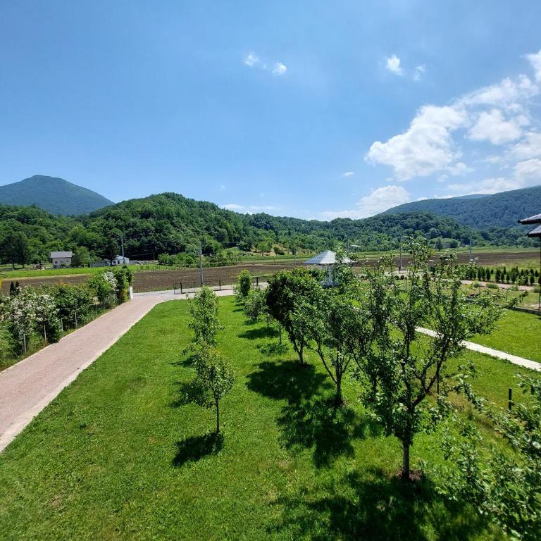 La Reina Una - Two-Bedroom House - 21