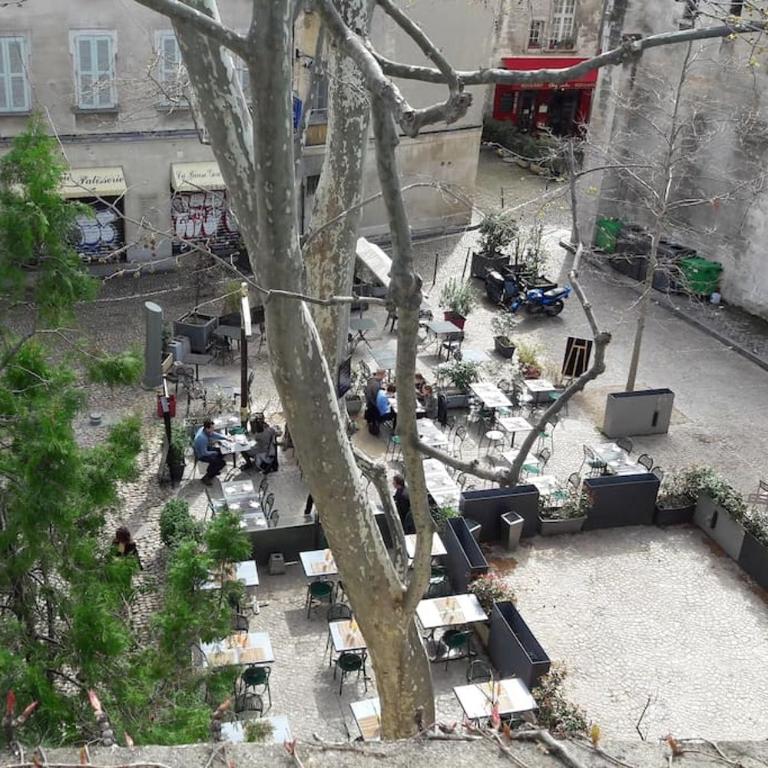 RÉNOVÉ, vue SUR Palais des Papes, terrasse et WIFI TROISIEME ETAGE - Apartment mit 1 Schlafzimmer - 41