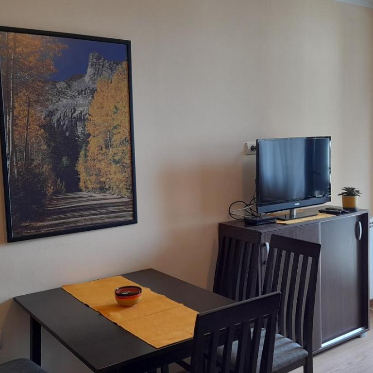 Sunny Days apartman Kopaonik - Apartment with Mountain View - 9