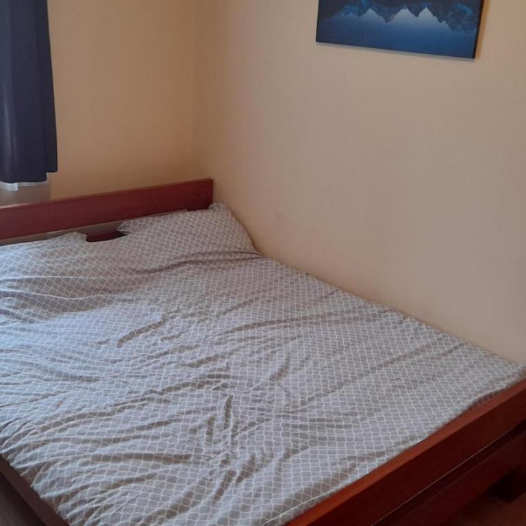 Sunny Days apartman Kopaonik - Apartment with Mountain View - 14